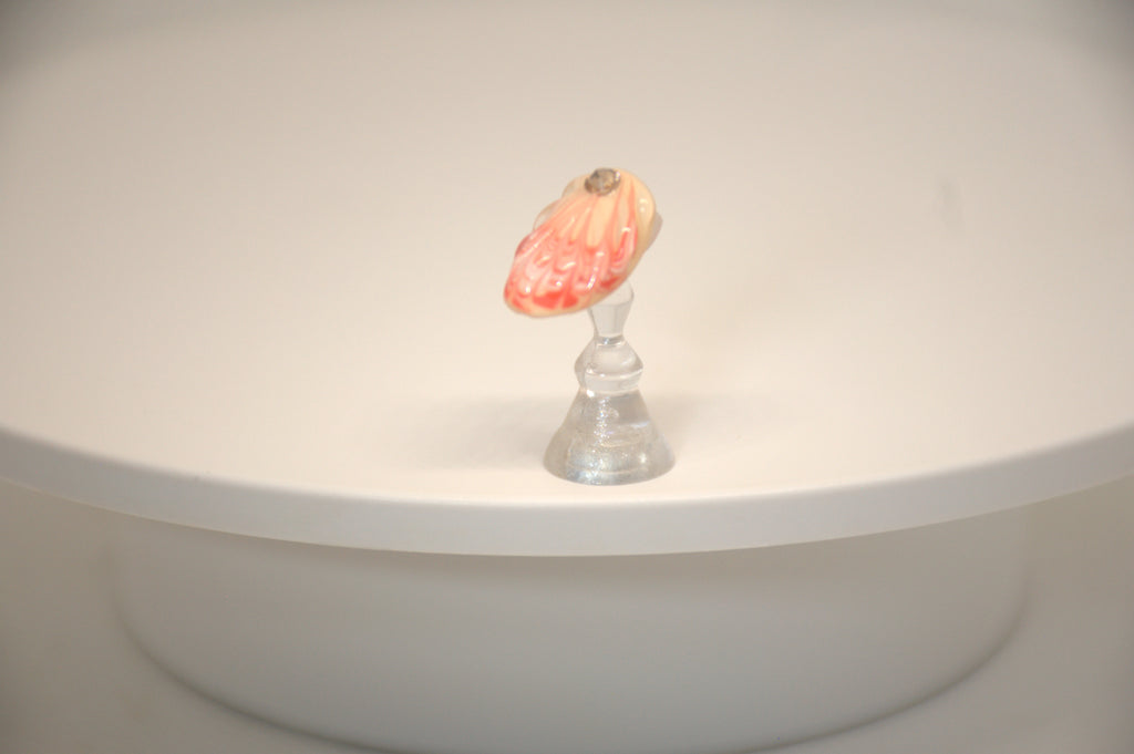 Sea Shell Delights