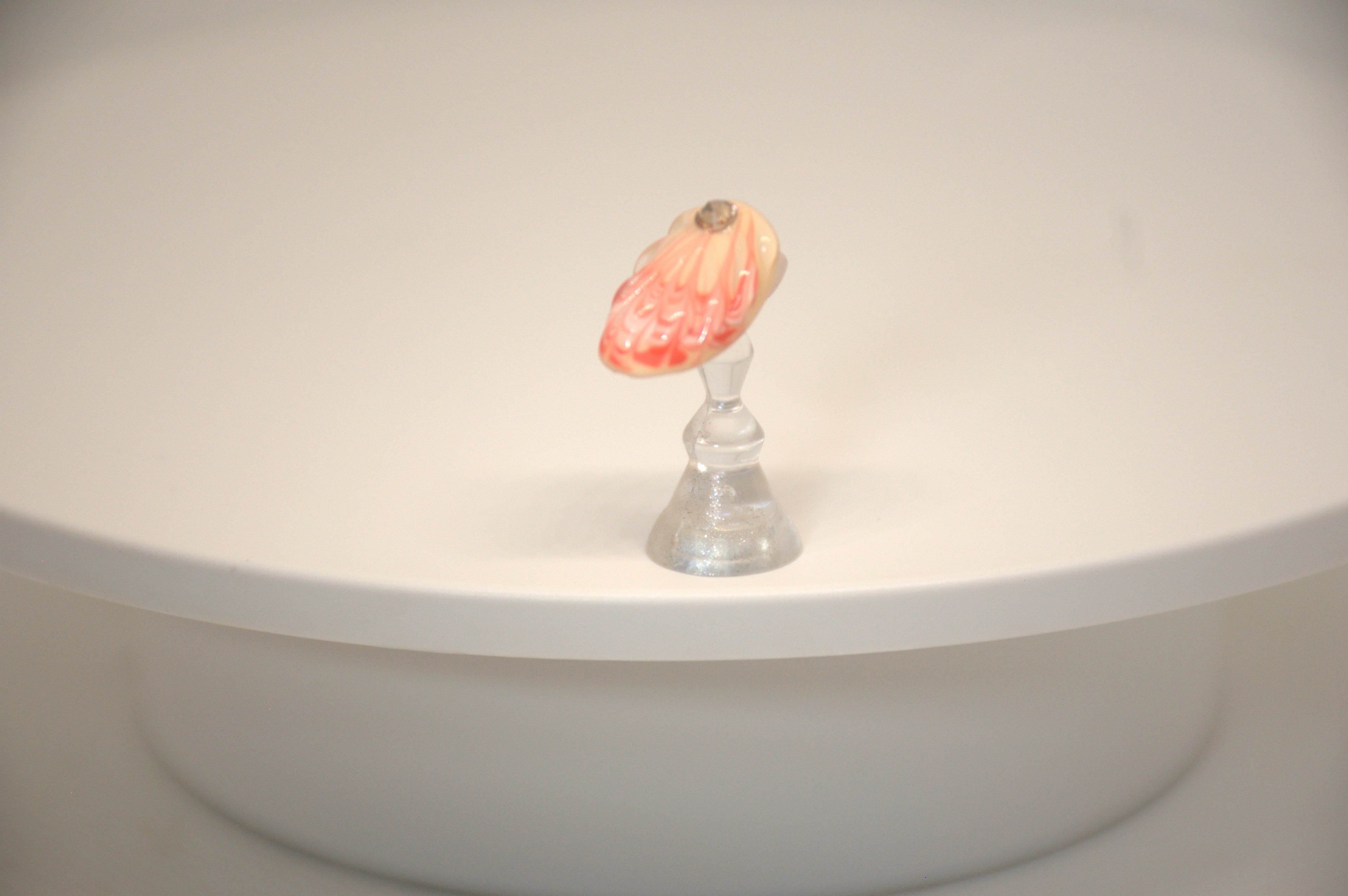 Sea Shell Delights
