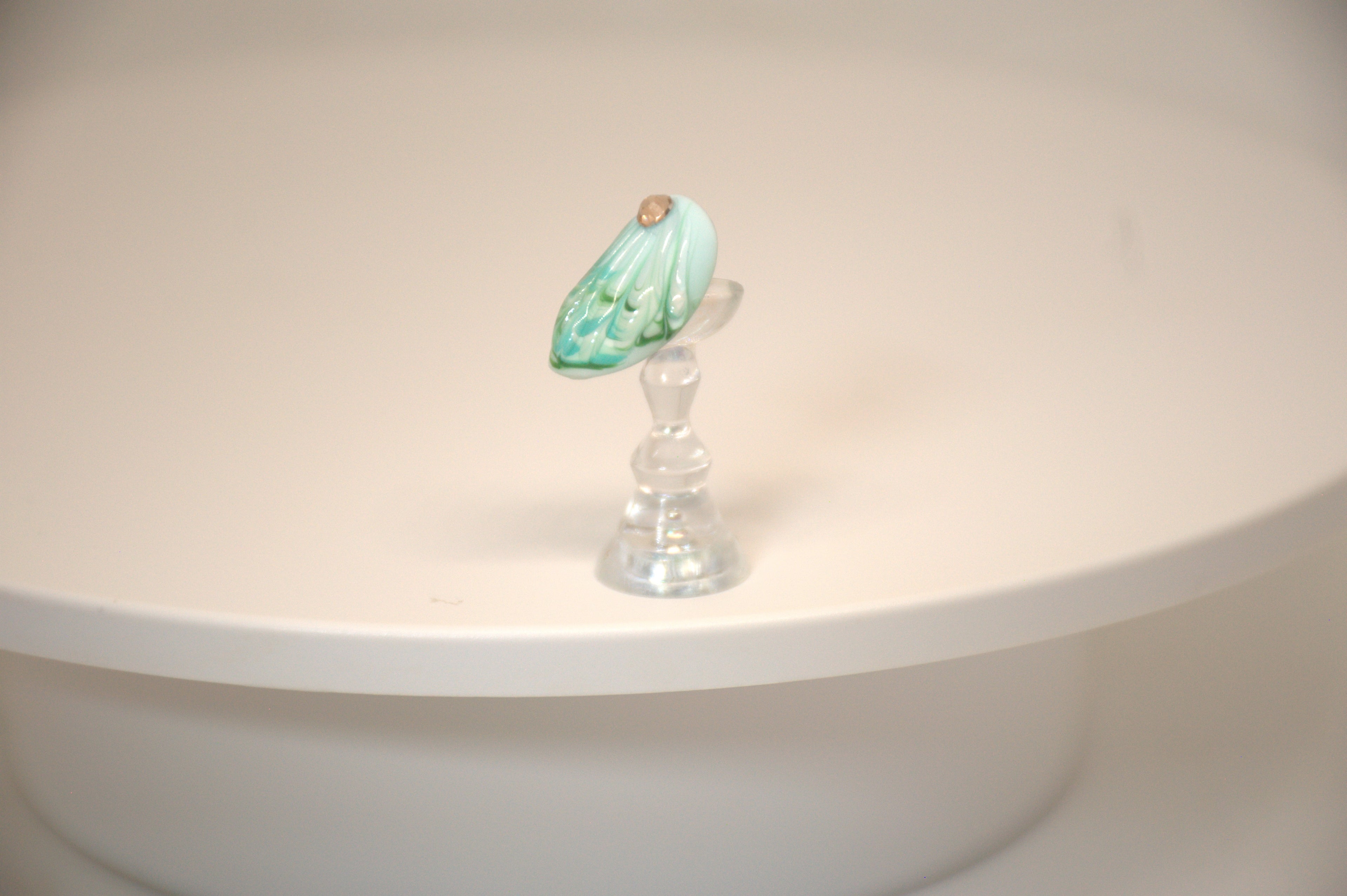 Sea Shell Delights