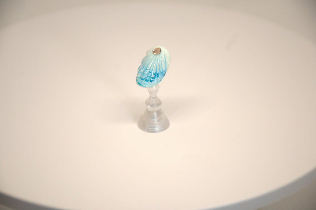 Sea Shell Delights