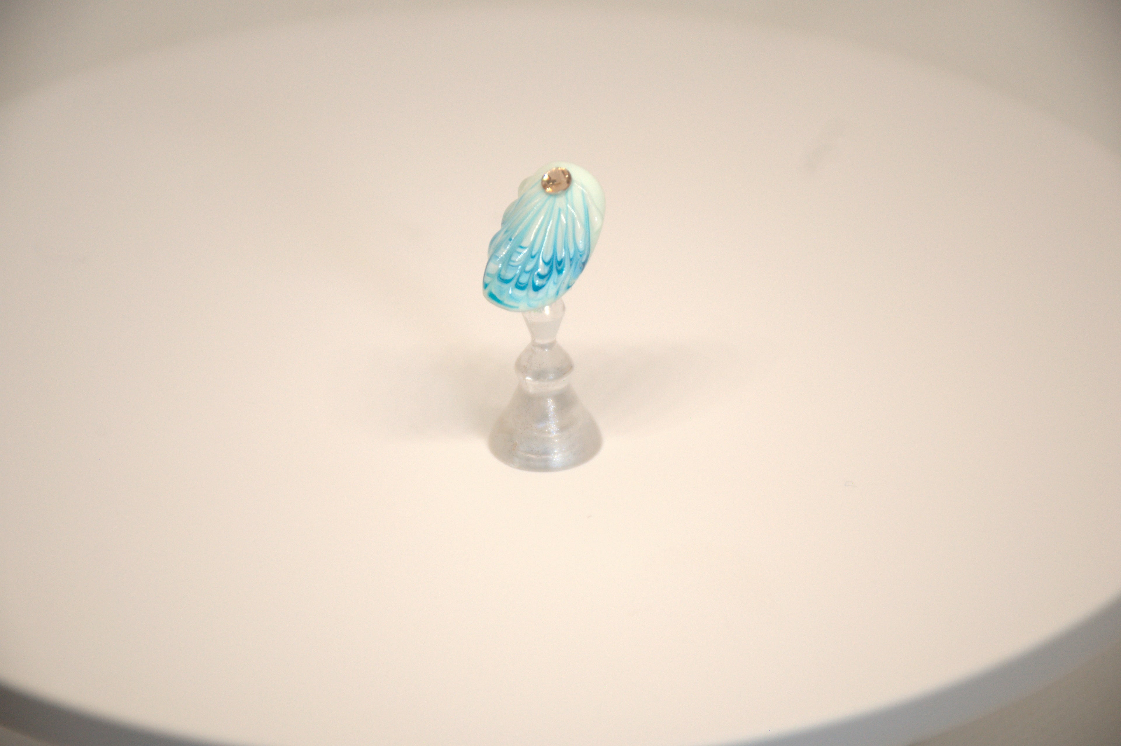 Sea Shell Delights